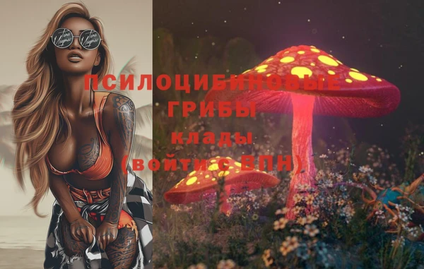 apvp Майский