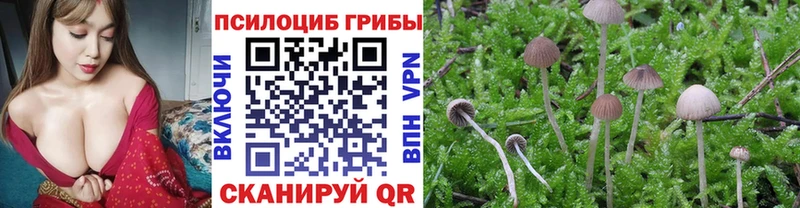 Галлюциногенные грибы ЛСД  Невельск 