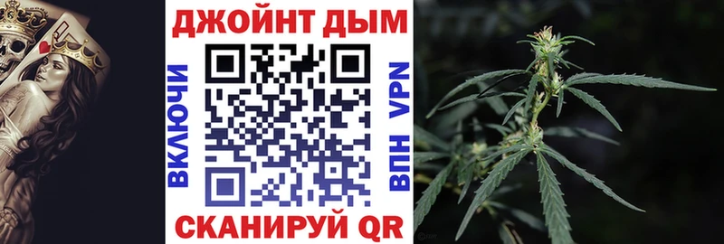 Шишки марихуана сатива  продажа наркотиков  Невельск 